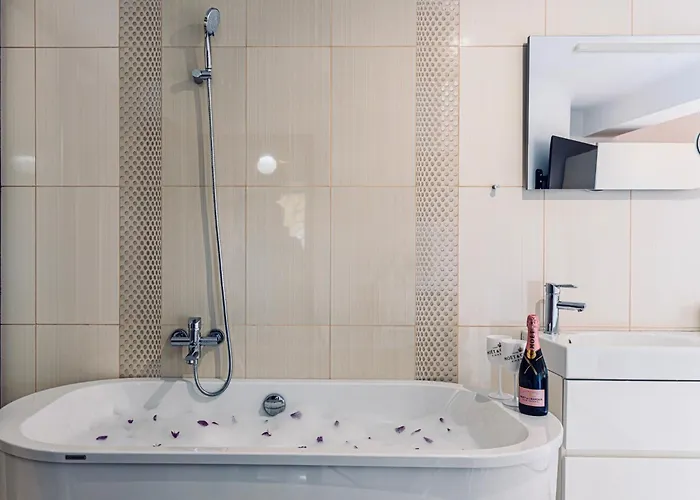 别墅 Lina 布拉索夫