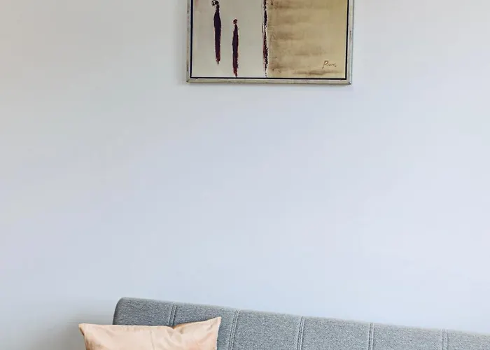 Lina 别墅 布拉索夫